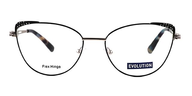 Evolution - EV1111