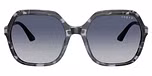 Blue Tortoise / Grey Gradient Blue