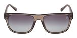 SHINY LIGHT BROWN / SHINY LIGHT BROWN / SMOKE POLARIZED