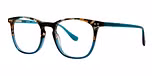 Turquoise tortoise
