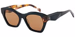 Black / Tort with Brown Lens