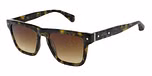 CAMO TORTOISE / GRADUATED