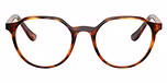 Dark Havana / Brown