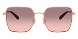 Rose Gold/Bordeaux / Grey Pink Gradient
