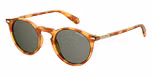 DARK HAVANA (GREY POLARIZED)