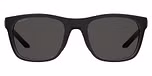 BLACK (GREY POLARIZED)