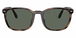Shiny Havana / Bottle Green