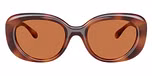 Caramel Tortoise / Brown Solid