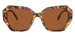 Medium Havana / Tortoise / Dark Brown