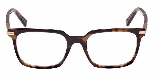 Ermenegildo Zegna - EZ5309