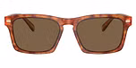 Caramel Tortoise / Brown Solid