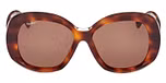 DARK HAVANA / DARK HAVANA / BROWN