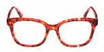RED HAVANA / RED HAVANA