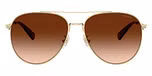 Shiny Light Gold / Brown Gradient
