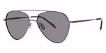 Gunmetal / polarized