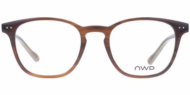 OWP - 7601 - Buffalo horn