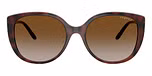 Top Dark Havana/Light Brown / Brown / Grey Gradient Brown Polarized