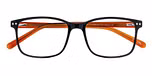 Black / Brown lenses