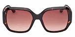 DARK HAVANA / DARK HAVANA / GRADIENT BROWN