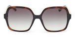 DARK HAVANA / SHINY WHITE / BRADIENT GREEN