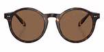 Shiny Dark Havana / Brown