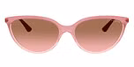 Gradient Pink / Transparent Pink / Pink / Pink Gradient Brown