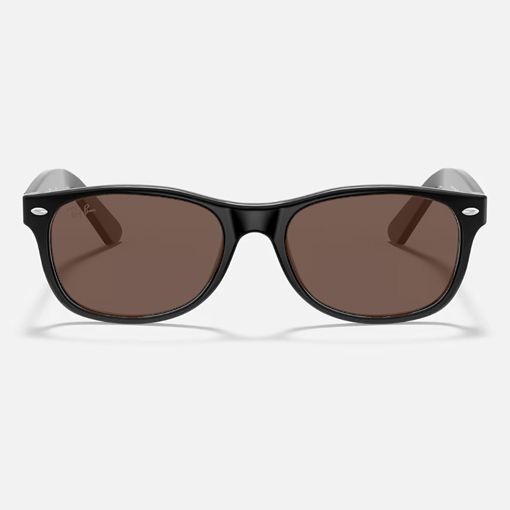 Wayfarer Sunglasses