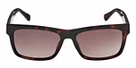 DARK HAVANA / DARK HAVANA / GRADIENT BROWN