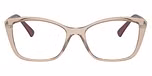 Transparent Light Brown / Brown