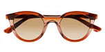 BROWN GRADIENT TRANSPARENT