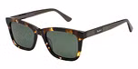 TORTOISESHELL