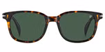 HAVANA (GREEN)
