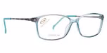Blue / Titanium Temples