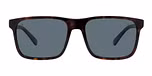 Tortoise - Grey Polar / Polarized