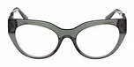 Shiny Dark Green / Shiny Dark Green