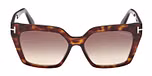 DARK HAVANA / GRADIENT BROWN