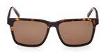 COLOURED HAVANA / BROWN POLARIZED