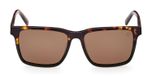 coloured havana / brown polarized