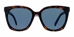 Tortoise - Blue Polar / Polarized