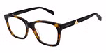 TORTOISESHELL