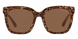 Brown /  Brown solid