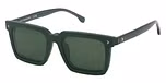 SHINY GREEN / GREEN / POLARIZED