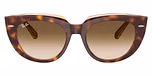Light Havana On Transparent Multicolour / Clear Gradient Brown