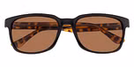 Black / Brown Lenses