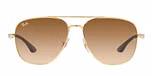 ARISTA / brown / clear gradient brown