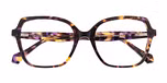 Dark Tortoiseshell