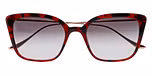 RUBY MEDIUM DEMI / Temple TITANIUM