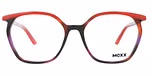 poppy red-violet