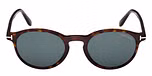 Dark Havana / Dark Havana / blue