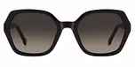 BLACK (BROWN SHADED)